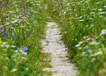 Mastering Serenity: The Power of Mindful Breathing Techniques