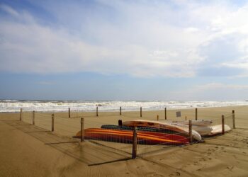 Breaking the Stigma: Elevating Mental Health Awareness and Support