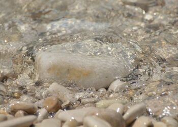 The Power of Daily Mindfulness: Cultivating Inner Peace and Presence