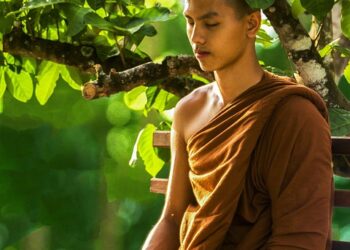 The Power of Presence: Transform Your Life with Mindfulness Meditation