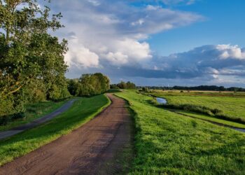 Embracing Compassion: The Power of Loving-kindness Meditation