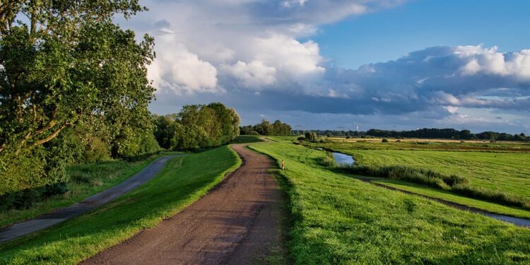 Embracing Compassion: The Power of Loving-kindness Meditation