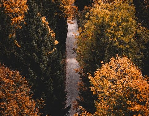 Unlocking Inner Calm: Effective Strategies for Managing Stress