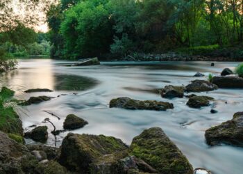 Unlocking Your Full Potential: The Power of Transcendental Meditation