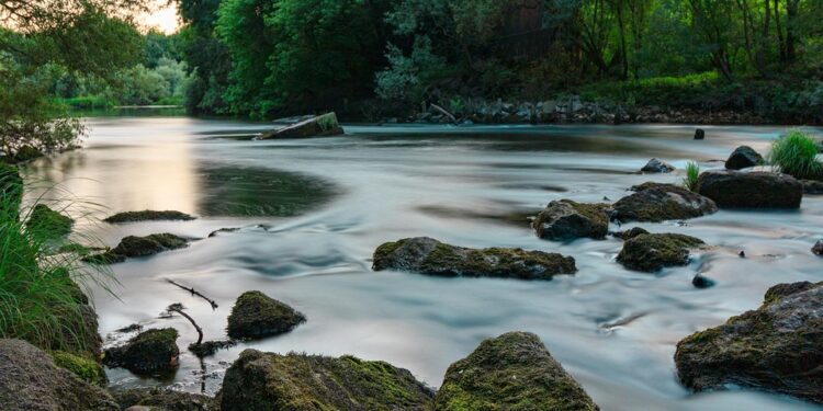 Unlocking Your Full Potential: The Power of Transcendental Meditation