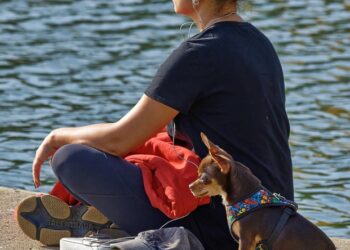 Mastering Mindfulness: The Art of Cultivating a Present and Peaceful Life