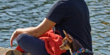 Mastering Mindfulness: The Art of Cultivating a Present and Peaceful Life