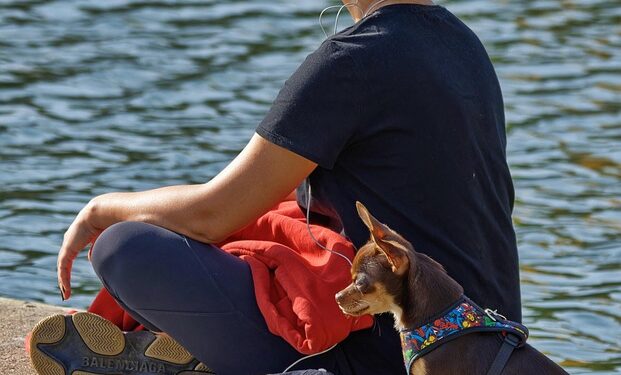 Mastering Mindfulness: The Art of Cultivating a Present and Peaceful Life